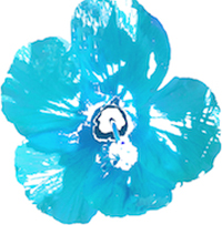 Image of a blue hyacinth flower to illustrate the Mahalo Program